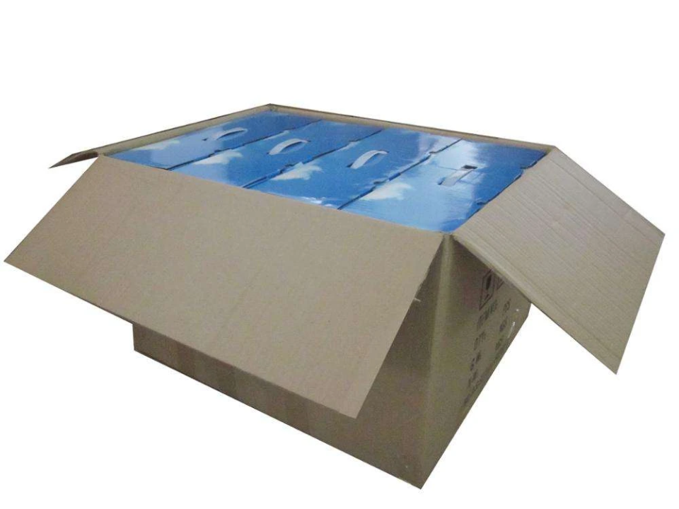 Foot detox spa packaging box